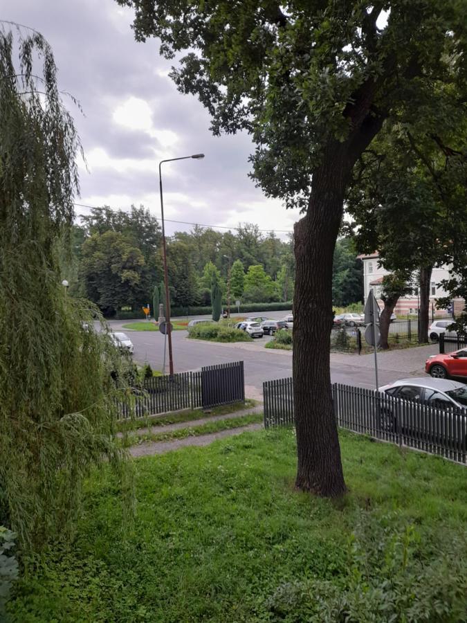 דירות ילנייה גורה Mieszkanie Z Widokiem Na Park -Cieplice Slaskie Zdroj מראה חיצוני תמונה